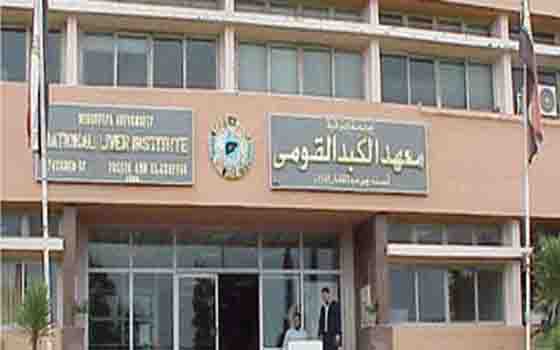   مصر اليوم - منال تؤكد انخفاض مُعدل الإصابة بالفيروسات الكبديّة خلال 10 أعوام